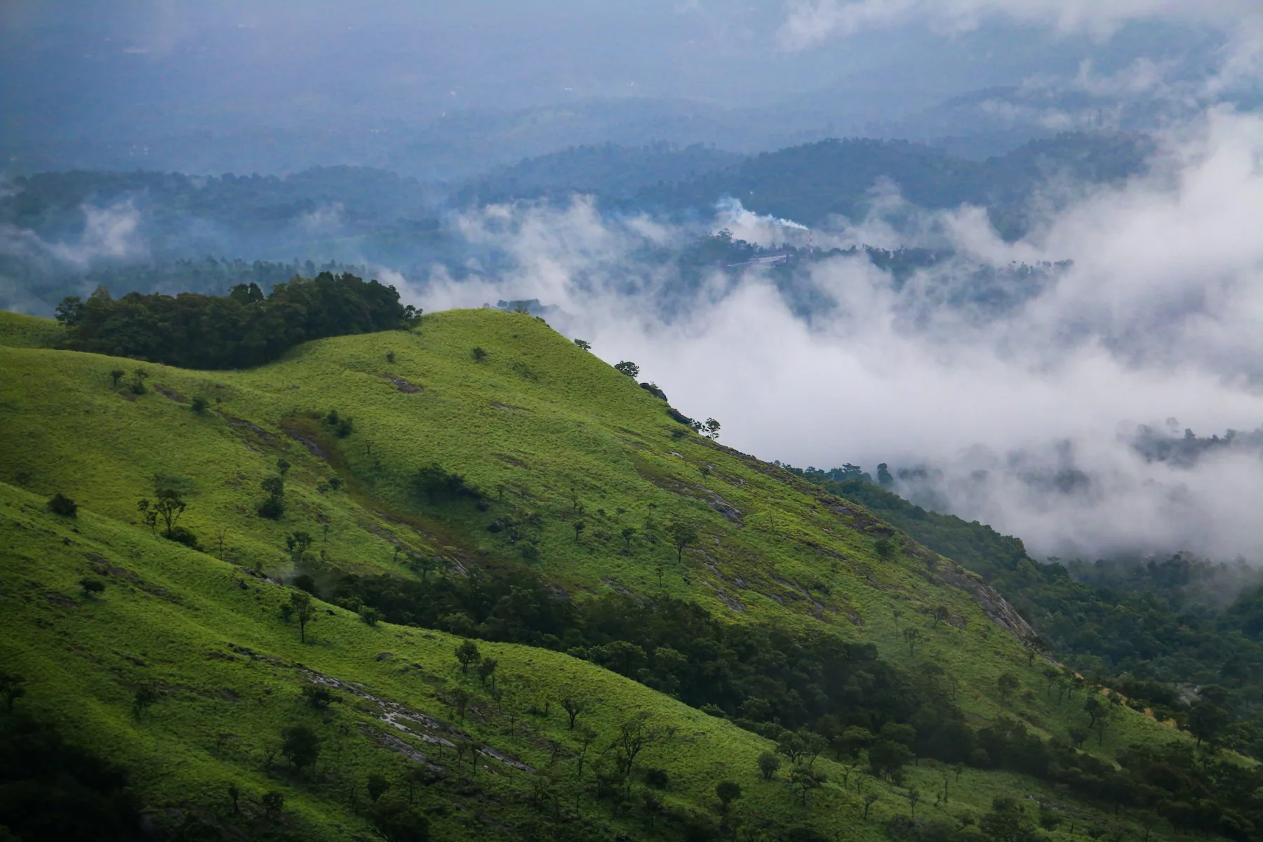 Misty green hills in Wayanad, Kerala.